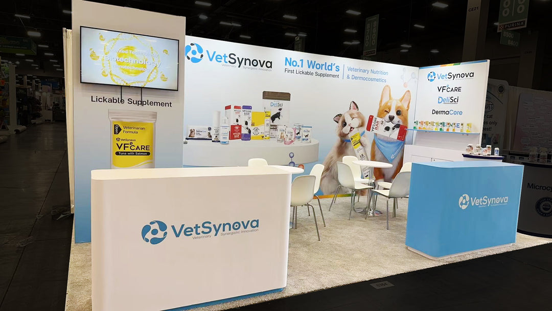 10x20 Modular Trade Show Booth Exhibit Rental – Includes Upgraded Wooden Counter