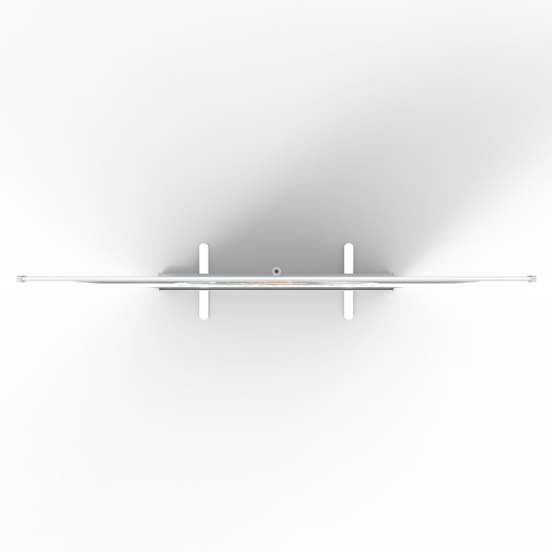 Standard Retractable